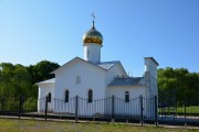 Церковь Петра и Павла - Докукино - Куньинский район - Псковская область
