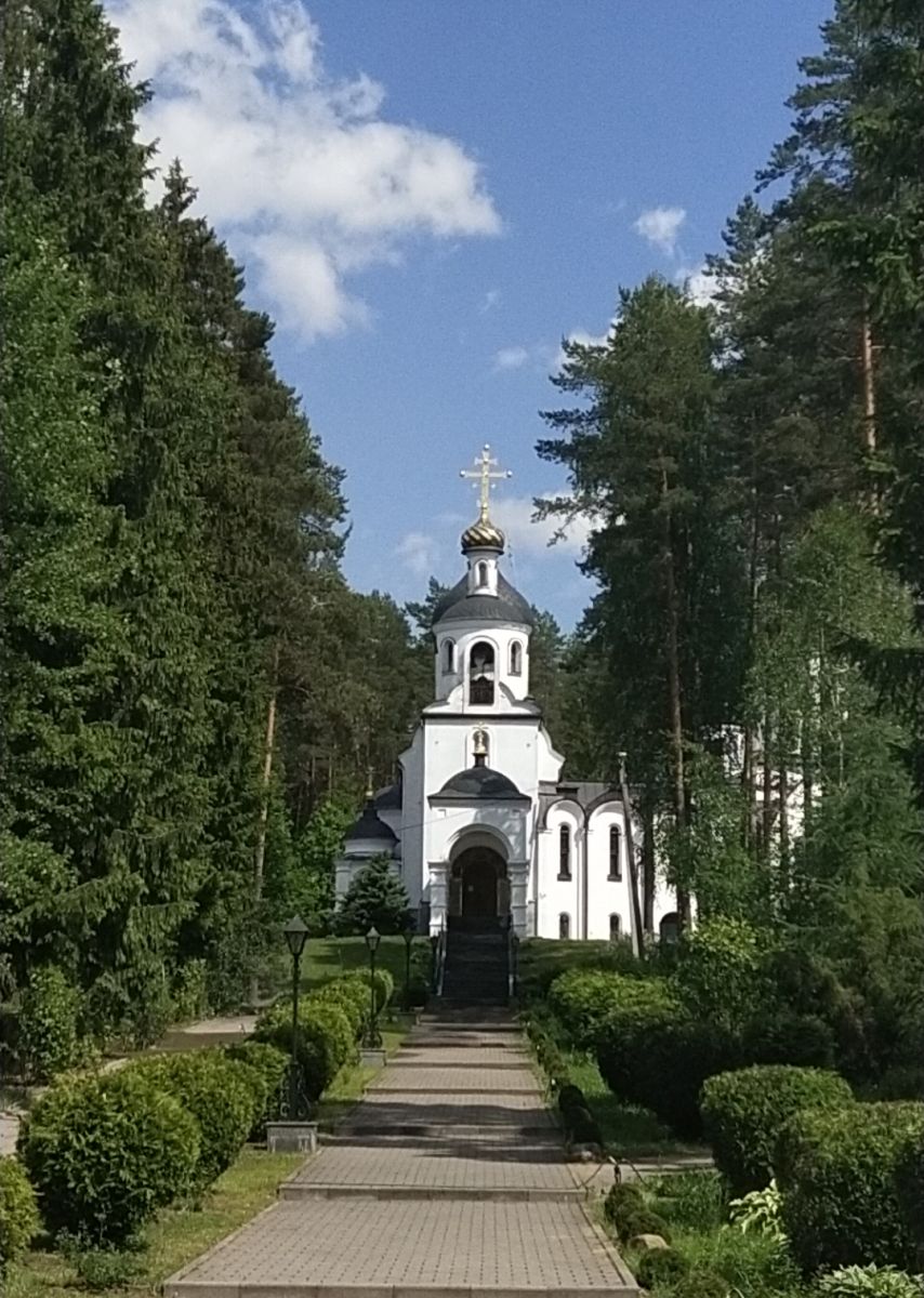 Ксениевский женский монастырь. Церковь Ксении Петербургской, Барань (Борисовский район, Беларусь, Минская область). архитектурные детали