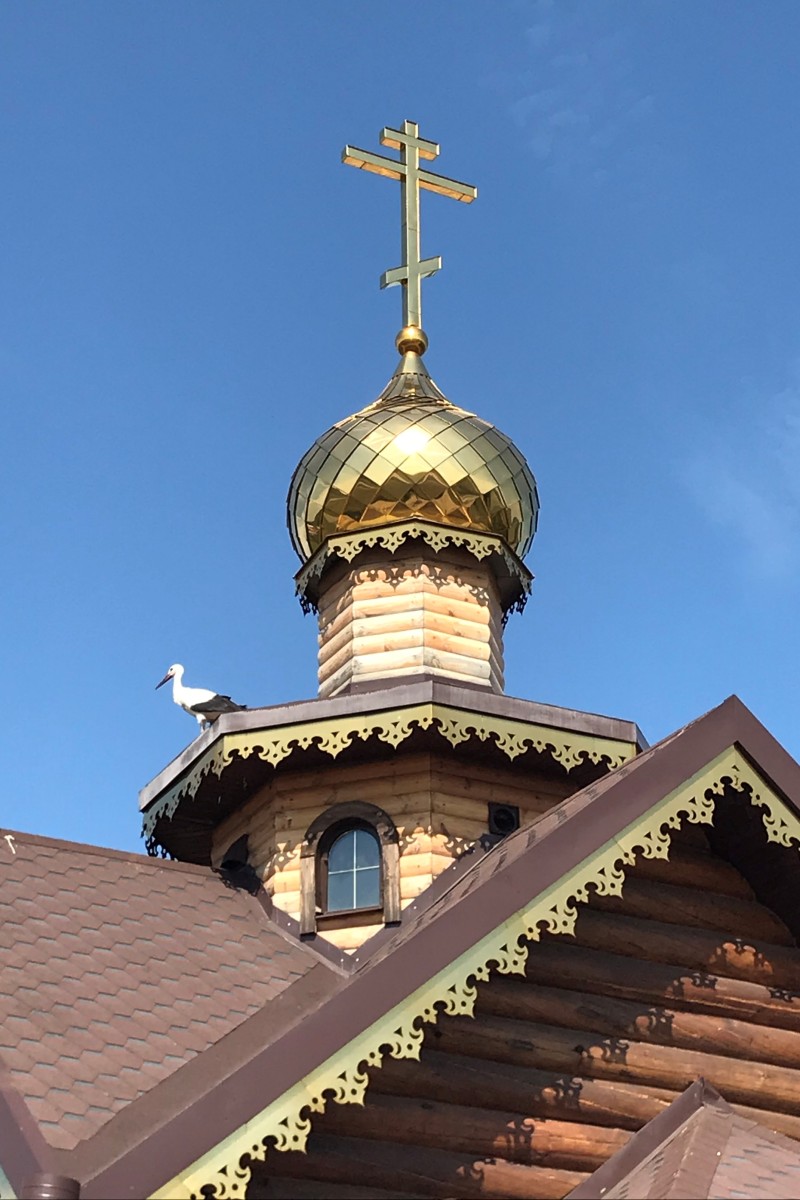 Сурково. Церковь Макария, митрополита Киевского. архитектурные детали