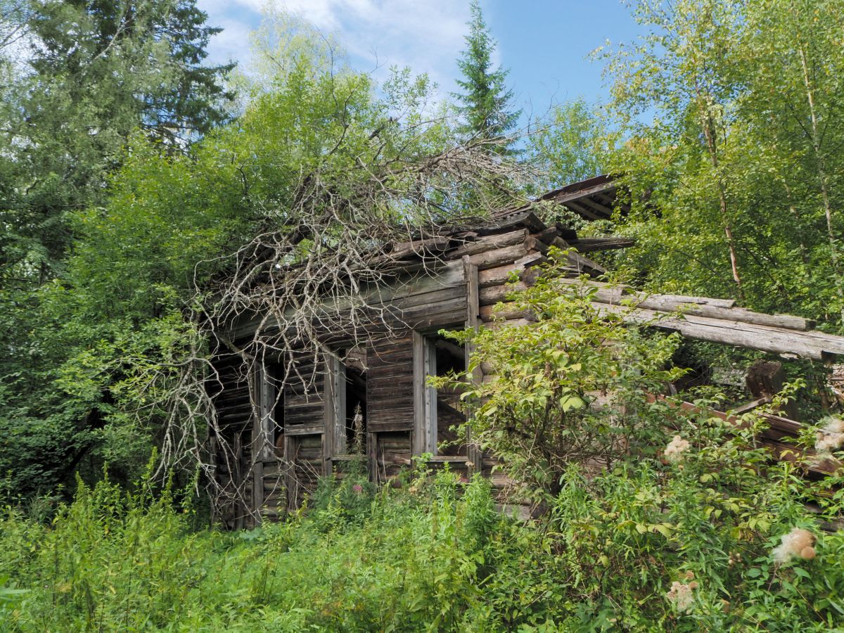 Церковь Воскресения Христова, Леонтьево, урочище (Судиславский район, Костромская область). архитектурные детали