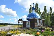 Чаплыгин. 