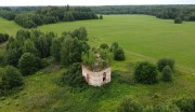 Церковь Илии Пророка, , Васильевское-Доровское (Ильинское), урочище, Грязовецкий район, Вологодская область