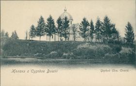 Судовая Вишня. Церковь Спаса Преображения