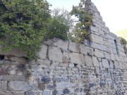 Монастырь Опиза, Остатки кафоликона<br>, Бааджилар (Опиза), Артвин, Турция