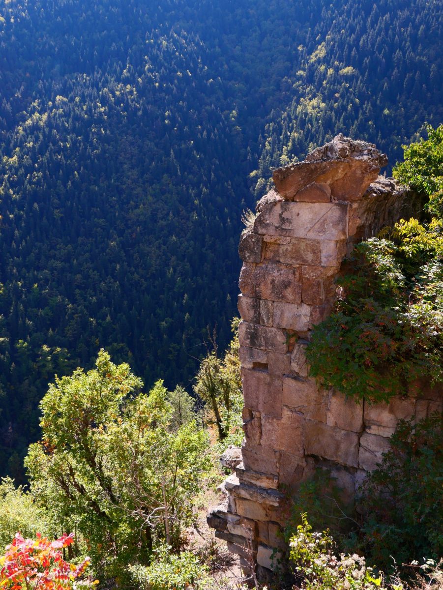 Монастырь Берта, Ортакёй (Берта) (Артвин, Турция). архитектурные детали, остатки трапезной