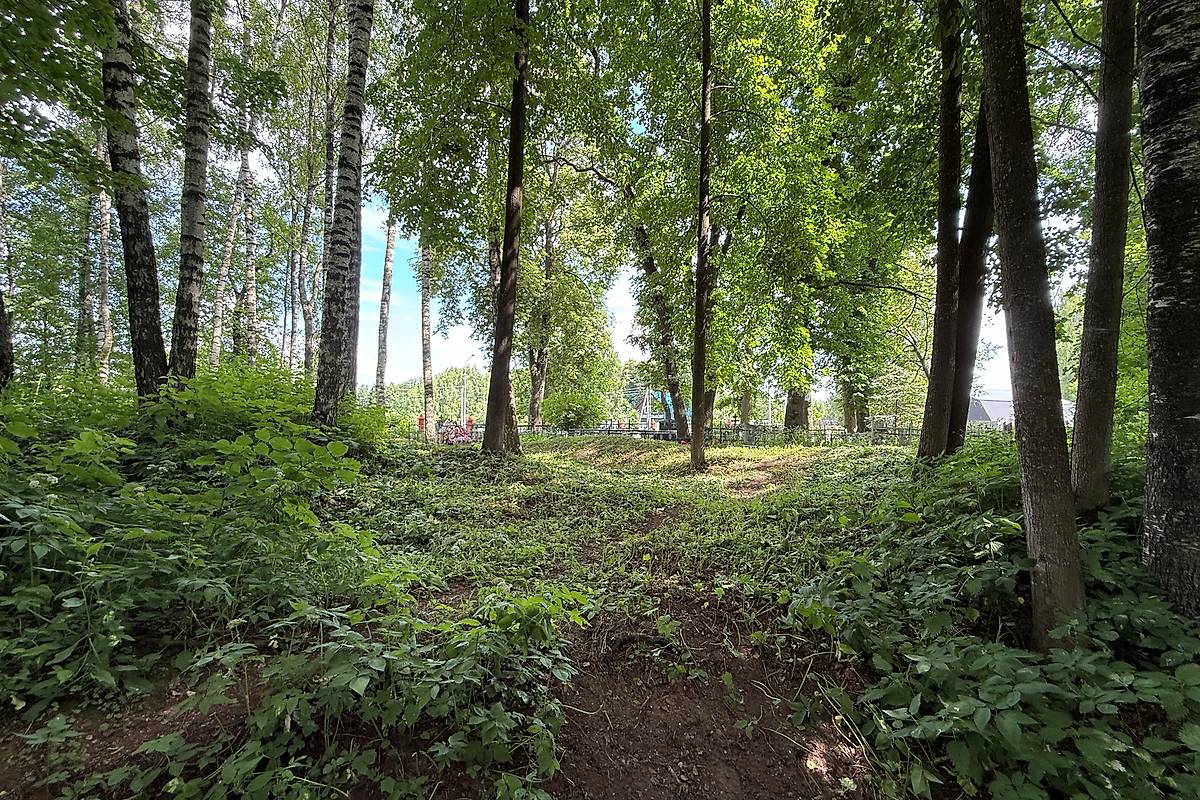 Вид на церковное место с запада, фасады. Церковь Рождества Пресвятой Богородицы, Каменка (Калининский район, Тверская область)