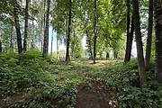 Каменка. Рождества Пресвятой Богородицы, церковь