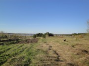 Храмовый комплекс Шастозерского прихода, Вид со стороны д. Шастки на рощу, возле которой стояли церкви<br>, Шастки, Виноградовский район, Архангельская область