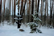 Часовня-мемориал Собора новомучеников и исповедников Церкви Русской, Памятный крест <br>, Воронеж, Воронеж, город, Воронежская область