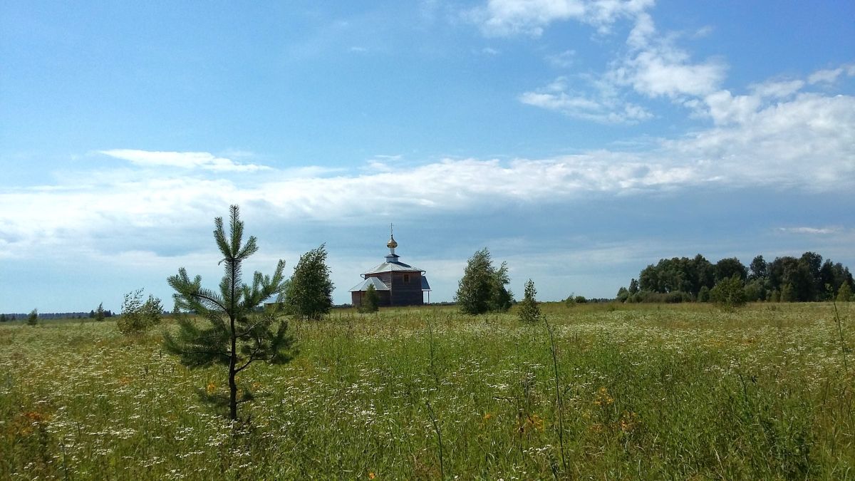 Церковь Положения честной Ризы Пресвятой Богородицы во Влахерне, Торчино (Спасский район, Рязанская область). дополнительная информация