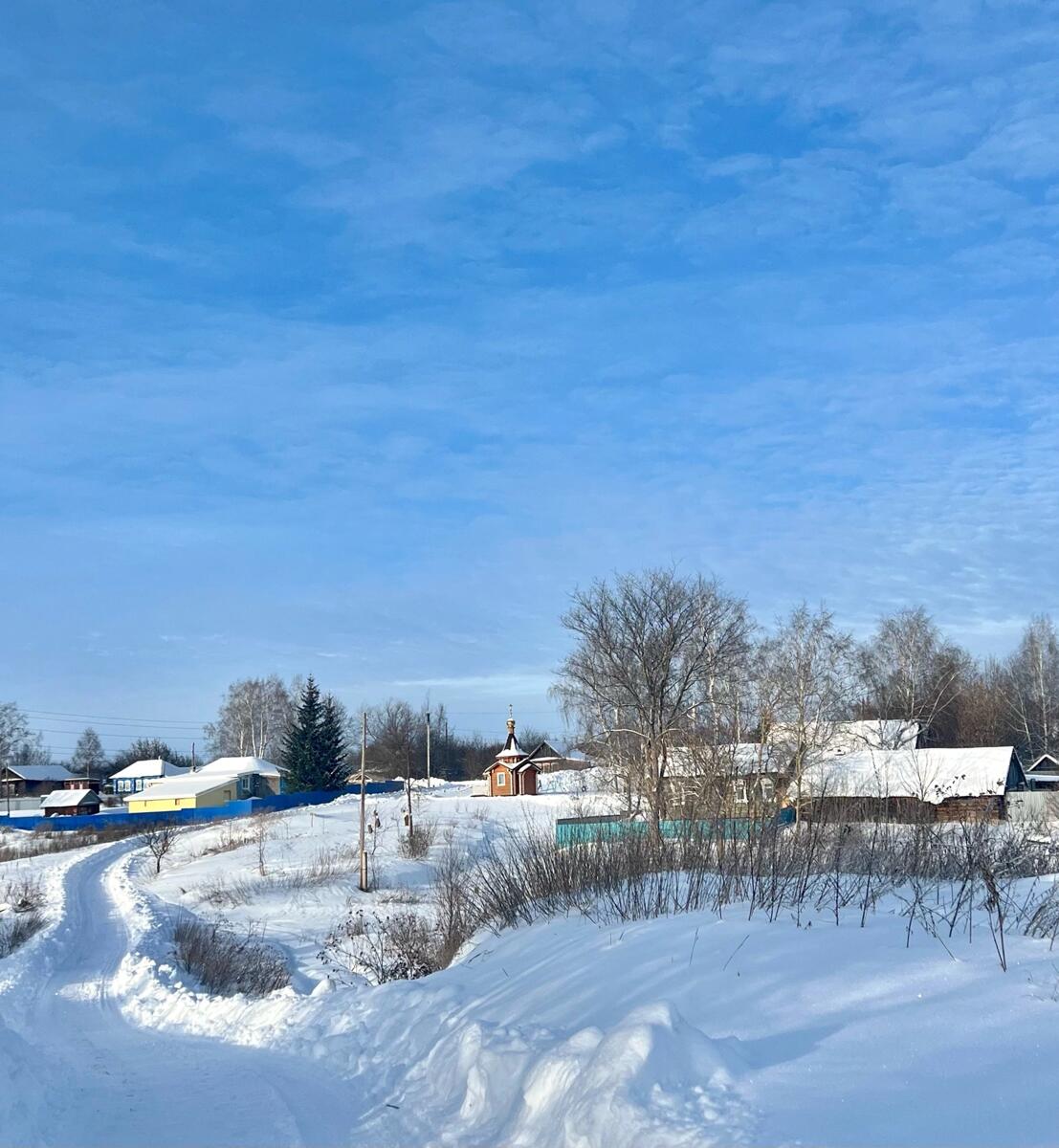Неизвестная часовня, Выползово (Ардатовский район, Нижегородская область). общий вид в ландшафте