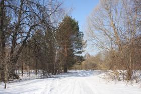 Княжево. Церковь Покрова Пресвятой Богородицы