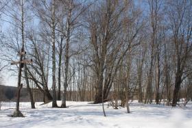 Козино. Церковь Успения Пресвятой Богородицы