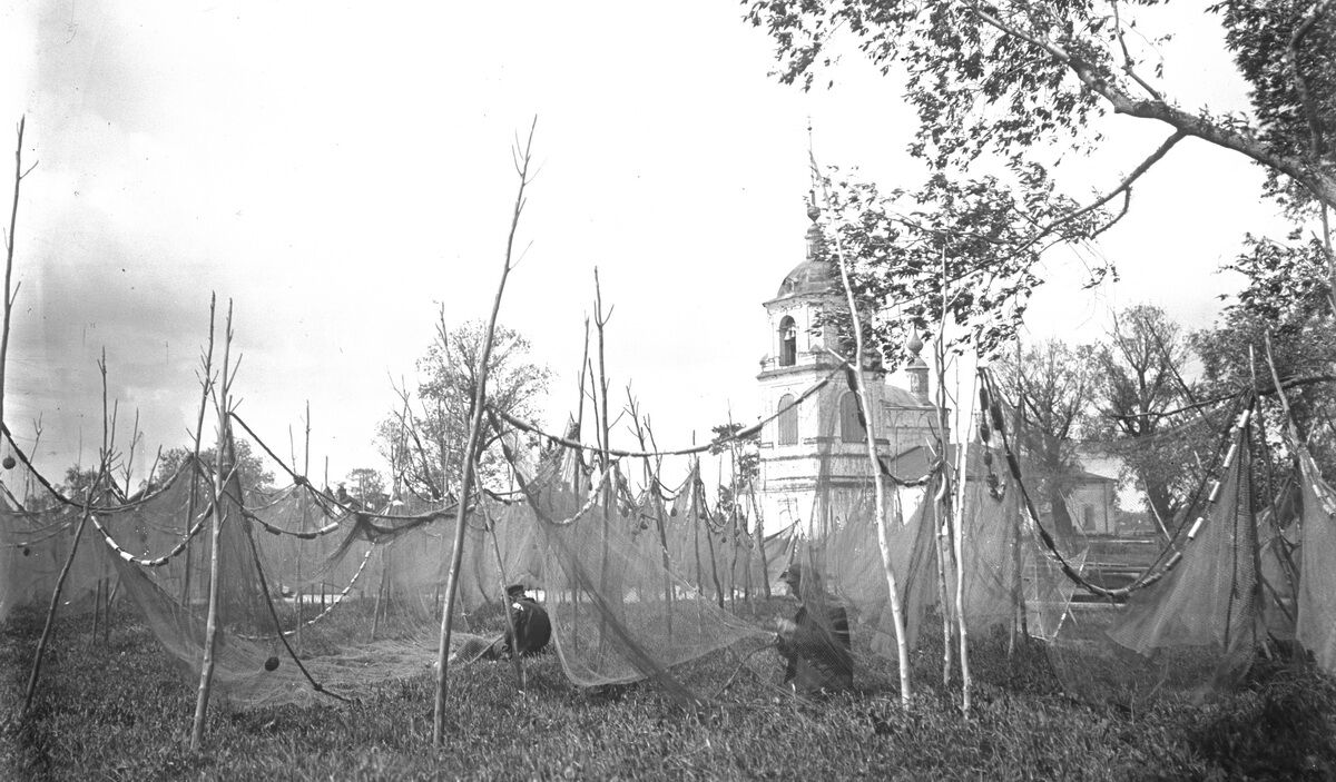 Переславль-Залесский. Церковь Введения во храм Пресвятой Богородицы. архивная фотография, Рыбная слобода. Фото начала ХХ в. ГУК ЯО «Переславский музей-заповедник»