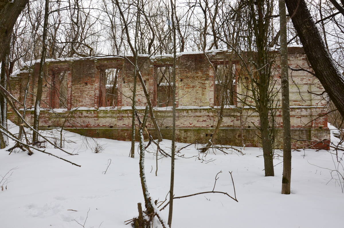 Церковь Димитрия Солунского, Клинское (Навлинский район, Брянская область). фасады, Вид с севера