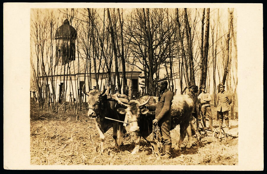 Неизвестная церковь, Сасу (Вранча, Румыния). архивная фотография, Почтовая фотооткрытка 1917 г.