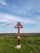 Церковь Иоанна Богослова, , Петино, Хохольский район, Воронежская область