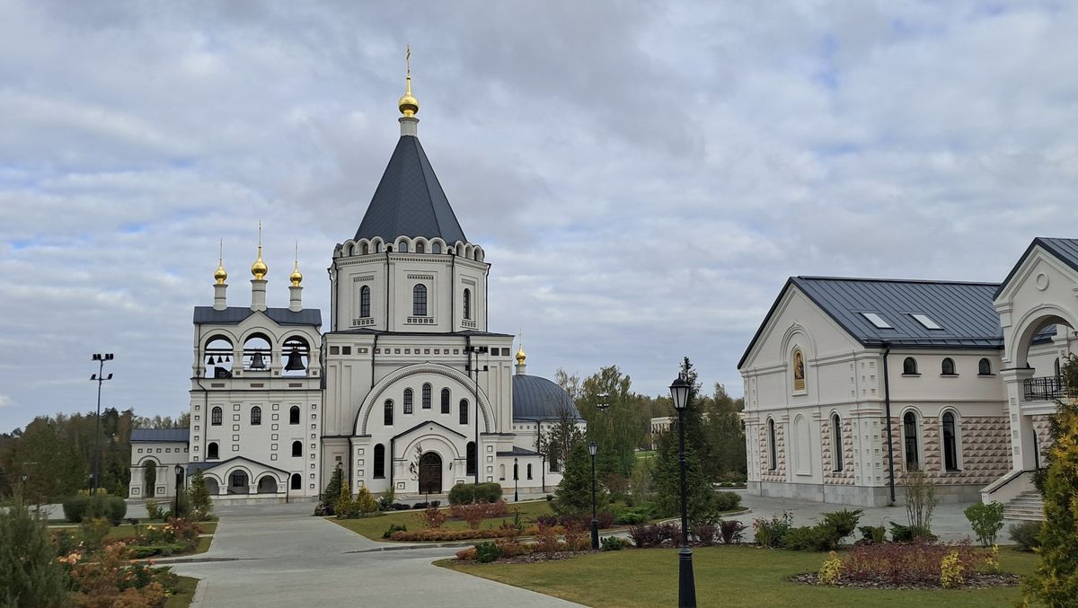 Церковь Михаила Архангела, Акулинино (Домодедовский городской округ, Московская область). общий вид в ландшафте, Вид с юга