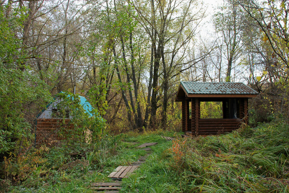 Часовня Луки (Войно-Ясенецкого), Губарёво (Семилукский район, Воронежская область). общий вид в ландшафте, Общий вид на источник