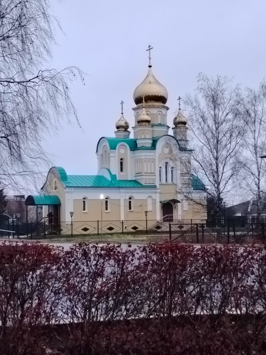 Церковь Игнатия Брянчанинова, Кадошкино (Кадошкинский район, Республика Мордовия). общий вид в ландшафте