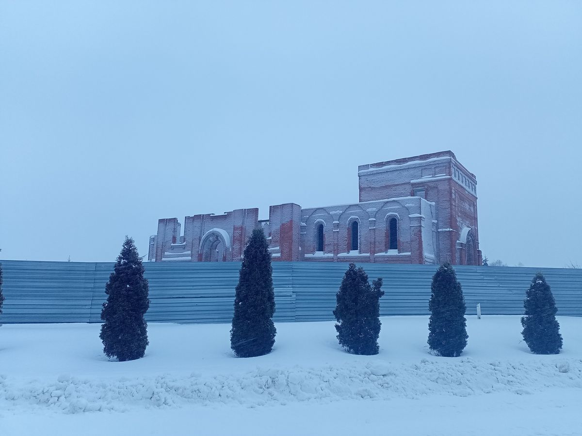 документальные фотографии. Церковь Иоанна Богослова (строящаяся), Петровское (Петровский район, Тамбовская область)