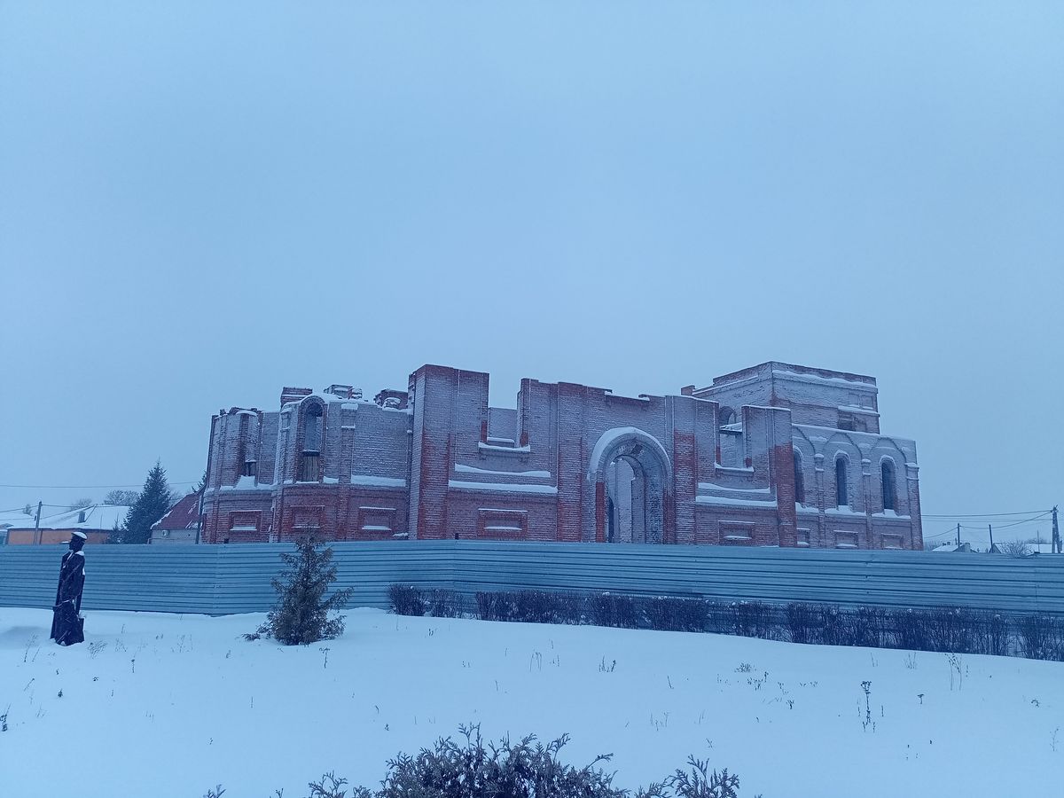 документальные фотографии. Церковь Иоанна Богослова (строящаяся), Петровское (Петровский район, Тамбовская область)