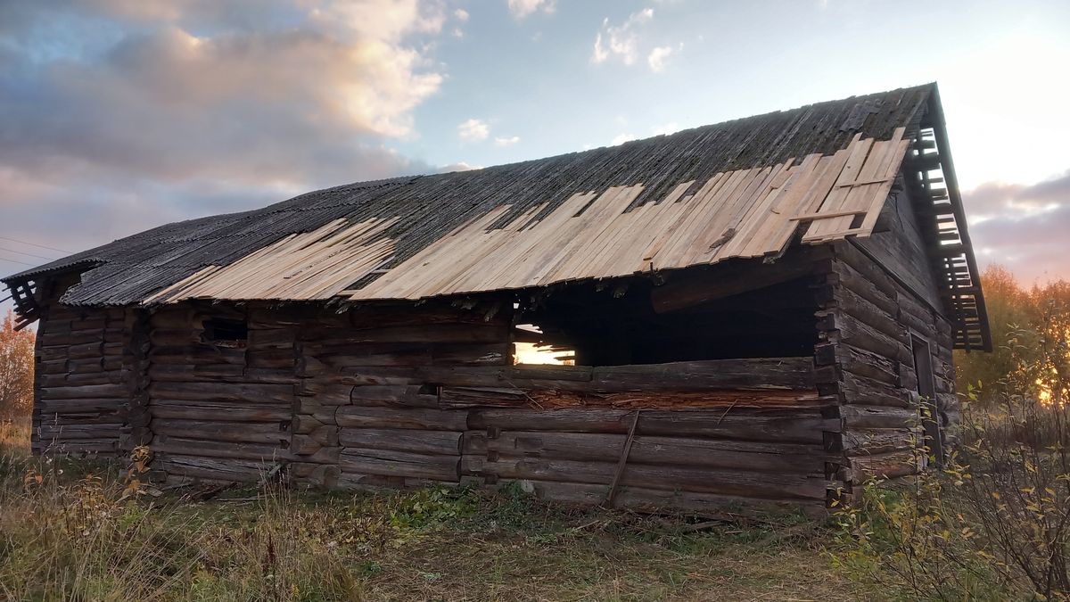 Церковь Параскевы Пятницы, Сальник (Вожегодский район, Вологодская область). общий вид в ландшафте, Вид с севера