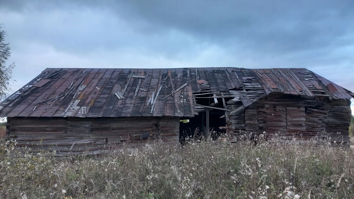 Церковь Параскевы Пятницы, Сальник (Вожегодский район, Вологодская область). общий вид в ландшафте, Вид с юга