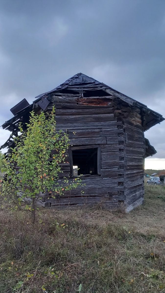Церковь Параскевы Пятницы, Сальник (Вожегодский район, Вологодская область). общий вид в ландшафте, Вид с востока