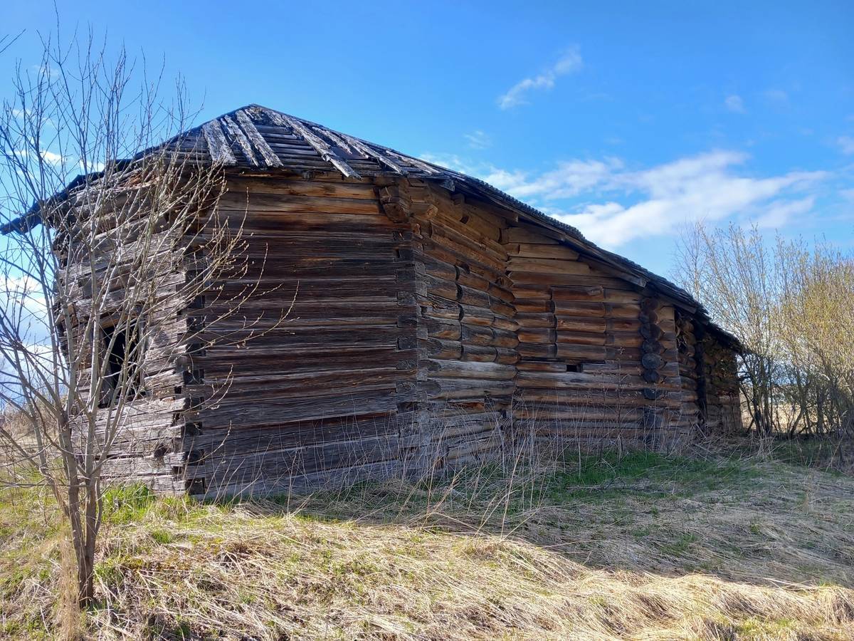 Церковь Параскевы Пятницы, Сальник (Вожегодский район, Вологодская область). общий вид в ландшафте, Вид с северо-востока