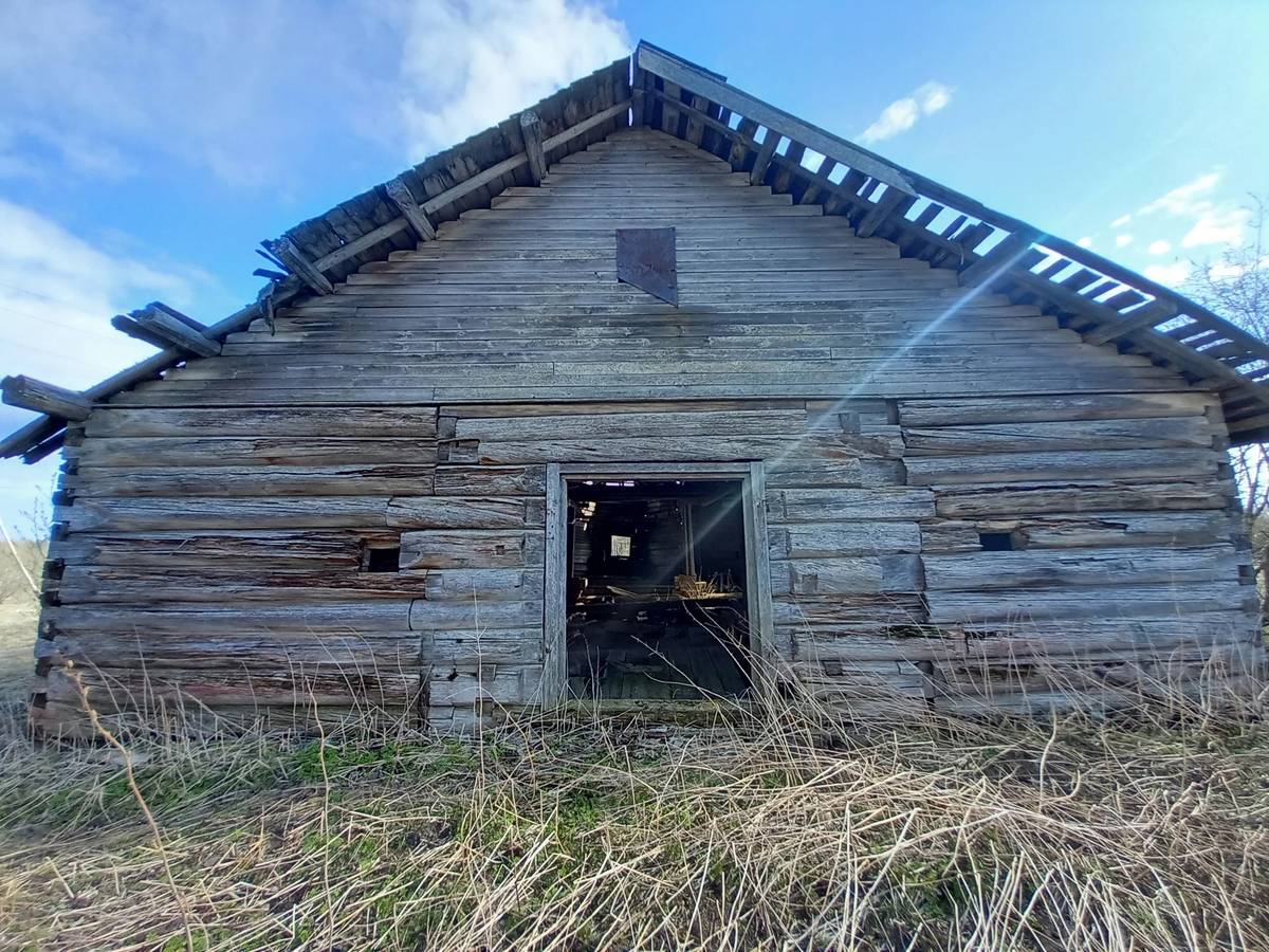 Церковь Параскевы Пятницы, Сальник (Вожегодский район, Вологодская область). общий вид в ландшафте, Вид с запада