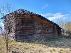 Сальник. Церковь Параскевы Пятницы
