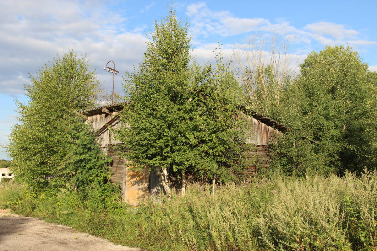 Часовня Георгия Победоносца, Коварзино (Кирилловский район, Вологодская область). фасады