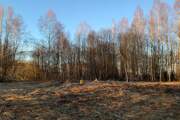 Церковь Николая Чудотворца, Вид на церковное место с запада<br>, Бельково, Зубцовский район, Тверская область