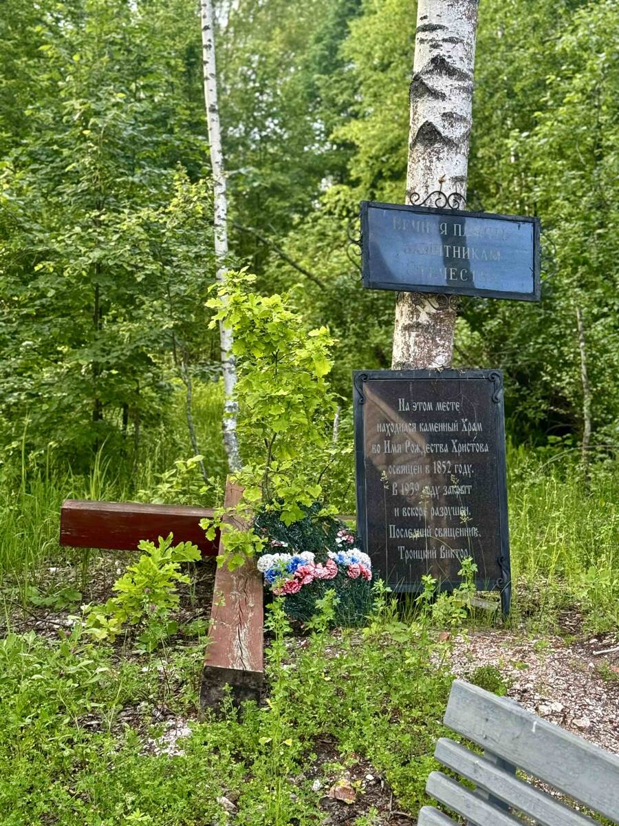 Церковь Рождества Христова, Бабасово (Павловский район, Нижегородская область). общий вид в ландшафте