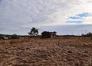 Малые Озерки. Параскевы Пятницы, часовня