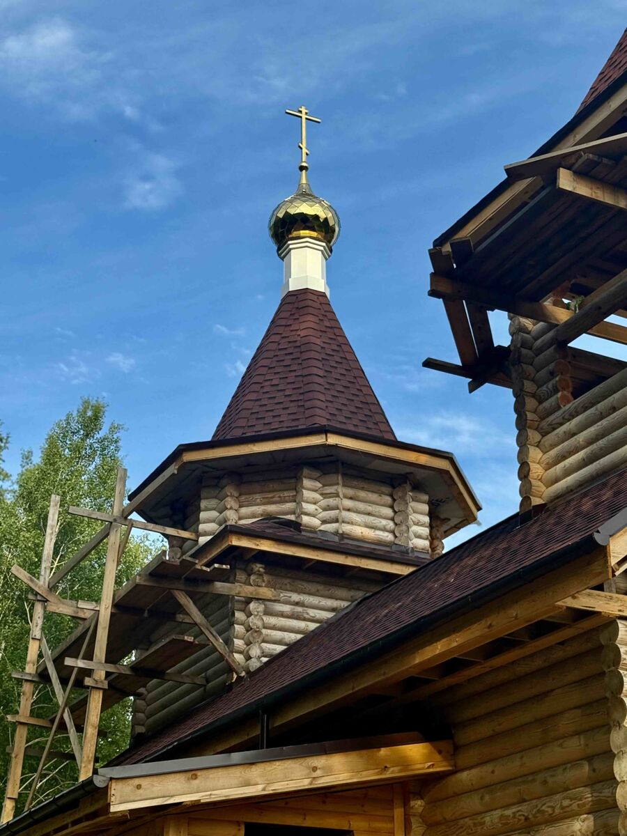 Церковь Илии Пророка, Бабасово (Павловский район, Нижегородская область). архитектурные детали