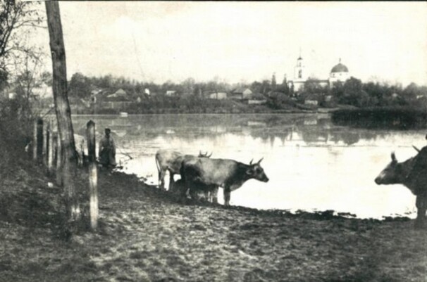 Церковь Троицы Живоначальной, Лебедин (Сумской район, Украина, Сумская область). архивная фотография, Вид на Троицкую церковь, фото 1903 г.