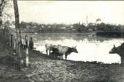 Церковь Троицы Живоначальной, Вид на Троицкую церковь, фото 1903 г.<br>, Лебедин, Сумской район, Украина, Сумская область