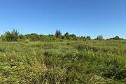 Березники. Рождества Пресвятой Богородицы, церковь