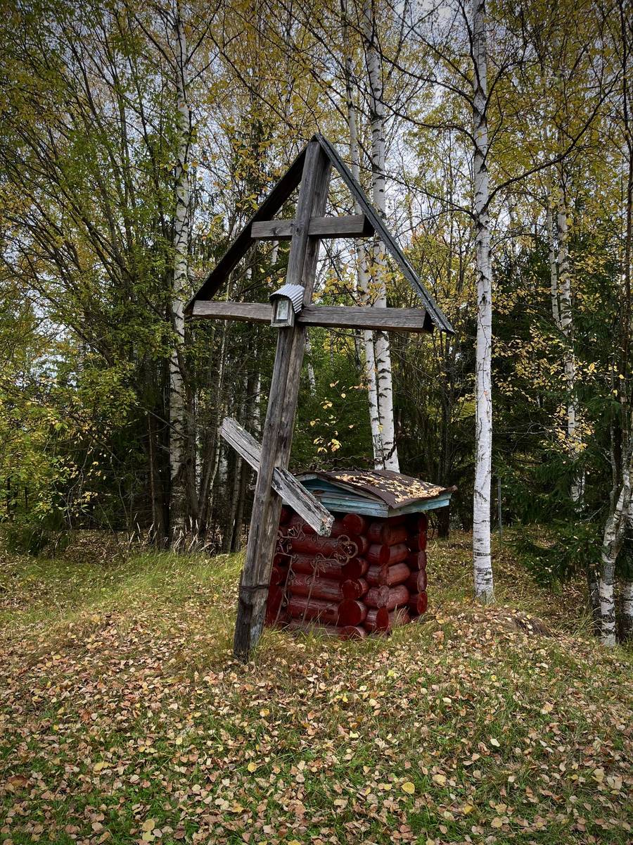 Церковь Успения Пресвятой Богородицы, Ильинское (Юрьевецкий район, Ивановская область). общий вид в ландшафте