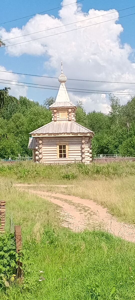 Часовня Варвары великомученицы, Девятины (Вытегорский район, Вологодская область). общий вид в ландшафте