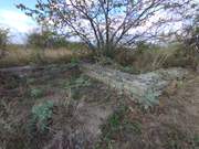 Калиново. Усекновения главы Иоанна Предтечи, церковь