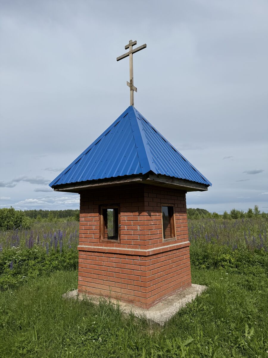 Неизвестная часовня, Нагорное, урочище (Островский район, Костромская область). фасады, Вид с юго-запада