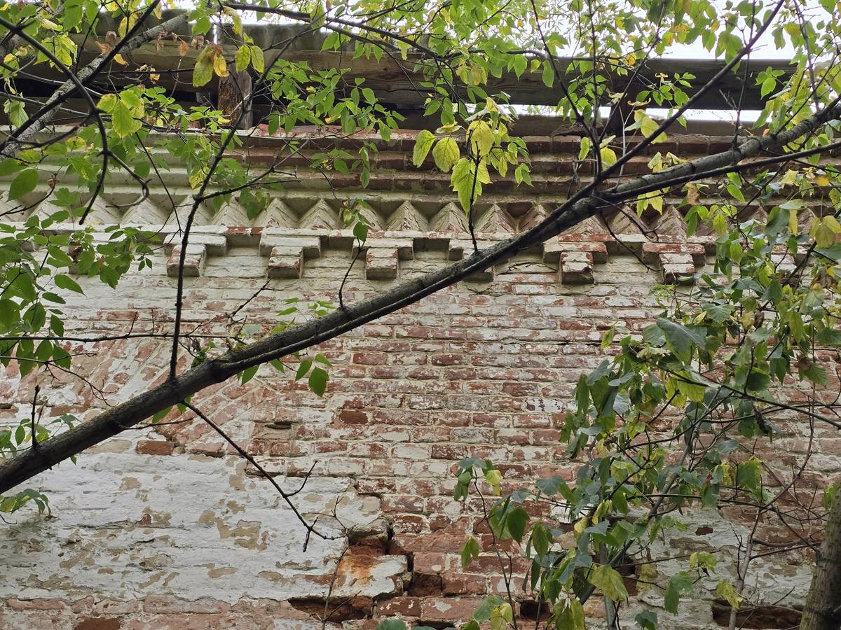 Неизвестная церковь, Петровские Круги (Елецкий район и г. Елец, Липецкая область). архитектурные детали
