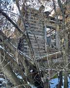 Лушниково. Николая Чудотворца, церковь