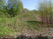 Церковь иконы Божией Матери "Знамение", , Рогатово, урочище, Фурмановский район, Ивановская область