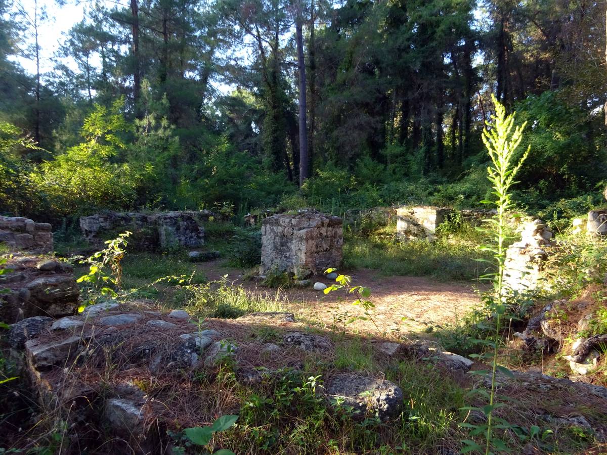 общий вид в ландшафте. Неизвестная церковь, Пицунда (Абхазия, Прочие страны)