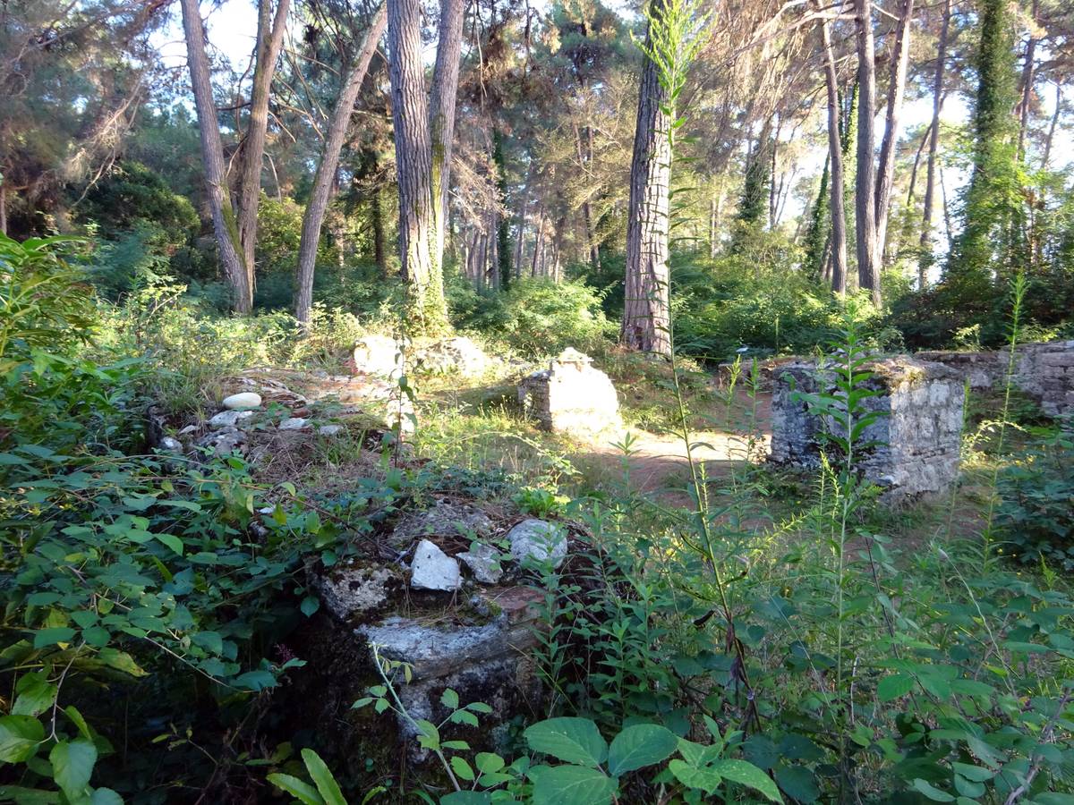 общий вид в ландшафте. Неизвестная церковь, Пицунда (Абхазия, Прочие страны)