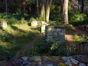 Пицунда. Неизвестная церковь